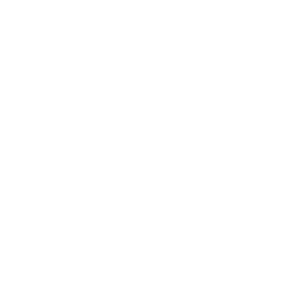 feature-item-1