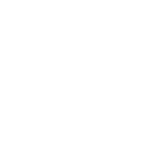 feature-item-2